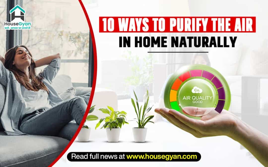 Natural air purification